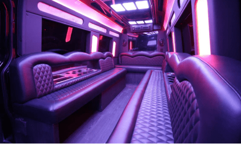 Stockton 14 Passenger Sprinter Bus Interior